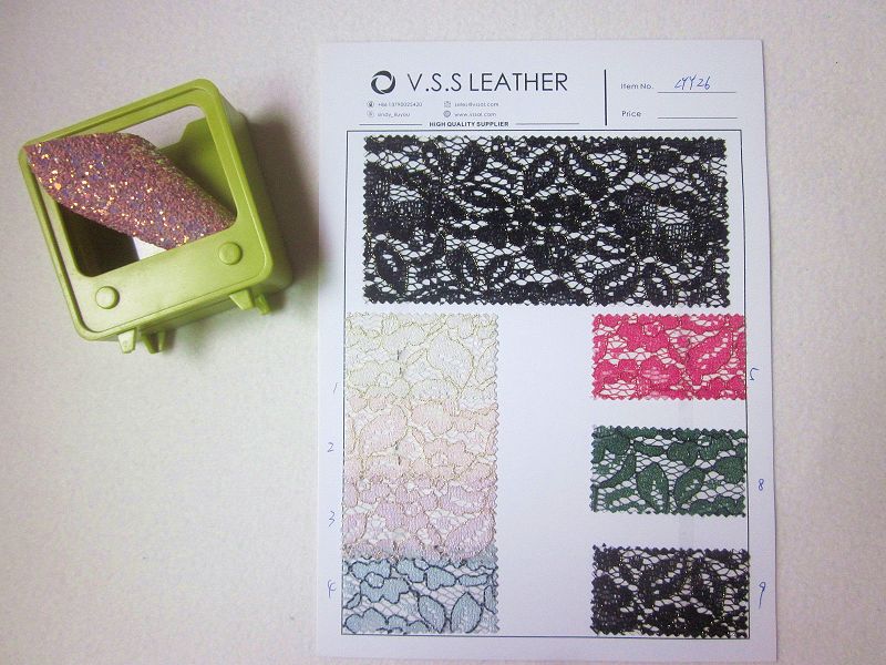 translucent  lace fabric (1).jpg