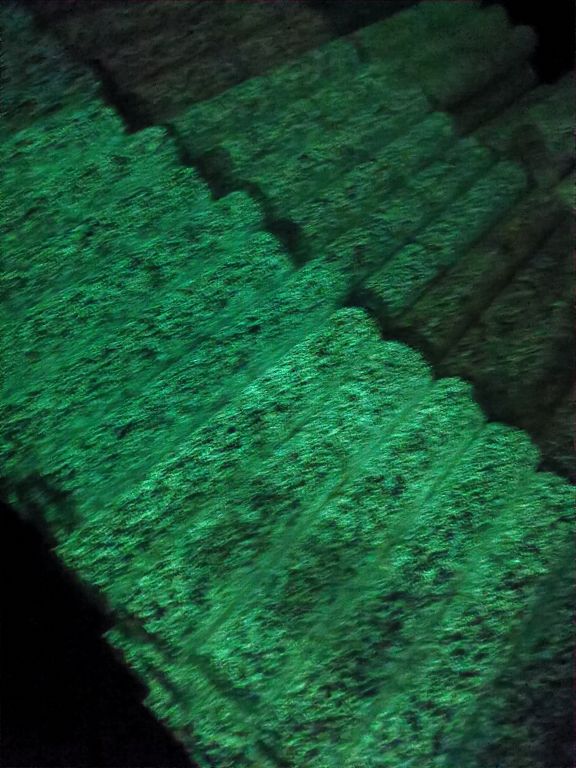 IMG_20250411_194000.jpg