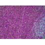 Purple Glow In Dark Chunky Glitter Leather Sheets