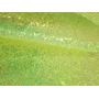 Yellow Color Chunky Glitter Leather With Felt Back