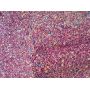 Ultra Thick Christmas Chunky Glitter Leather  